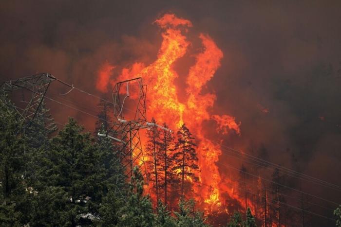 Пожары в Калифорнии (18 фото)