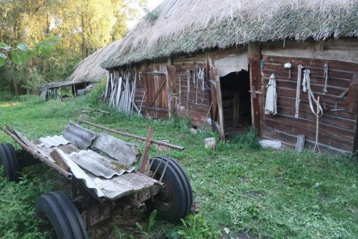 Белорусское Полесье. Деревня на болоте (35 фото)