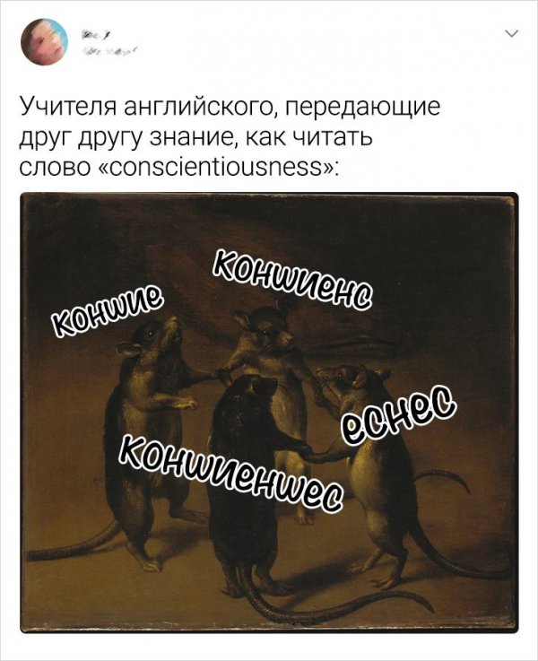 Подборка забавных твитов об изучении иностранных языков (17 фото)